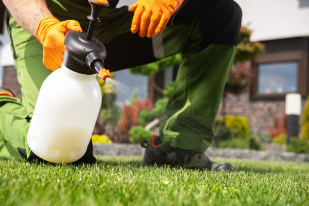 Pest Prevention Services in Morrisonville, IL