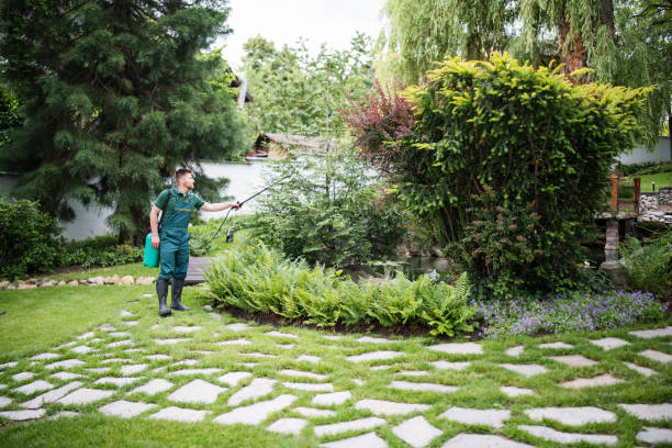 Best Wasp Removal Services  in Morrisonvle, IL