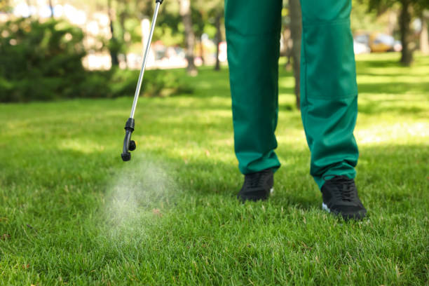 Professional Pest Control in Morrisonville, IL