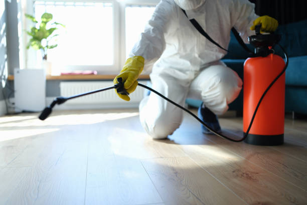 Pest Control for Restaurants in Morrisonville, IL