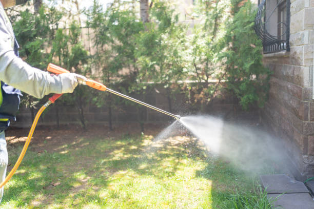 Best Exterminator Services  in Morrisonvle, IL